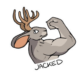 Jacked Jacked