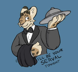 Serval Server Serval Server